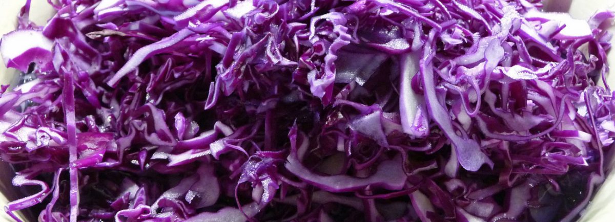 WRAP PURIFICANTE DE COL LOMBARDA O REPOLLO MORADO