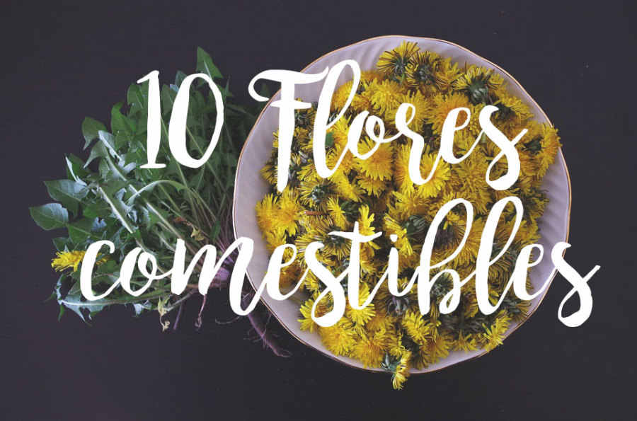 10 flores comestibles y sus usos culinarios 