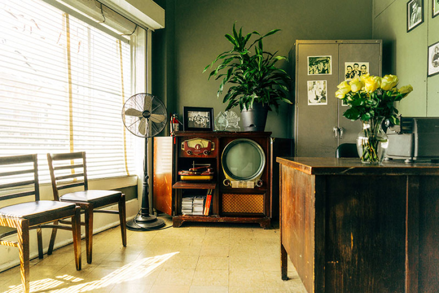 ventilador y plantas contra el calor